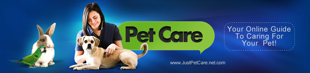 Pet Care Advice